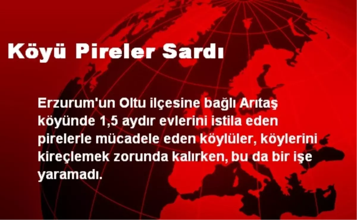 Köyü Pireler Sardı