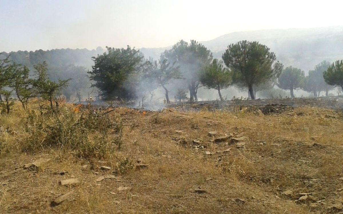 Kula\'da Orman Yangını