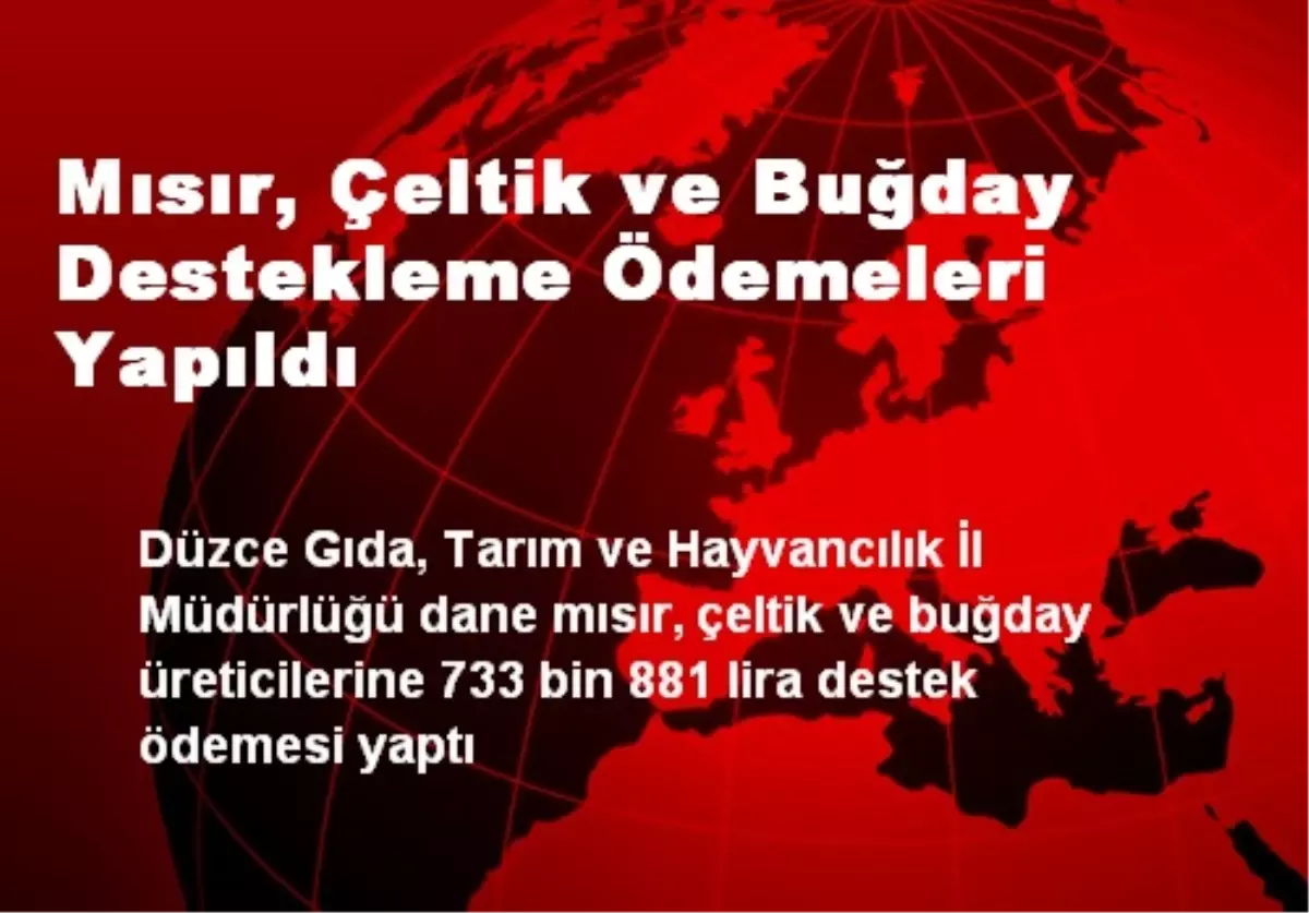 Mısır, Çeltik ve Buğday Destekleme Ödemeleri Yapıldı