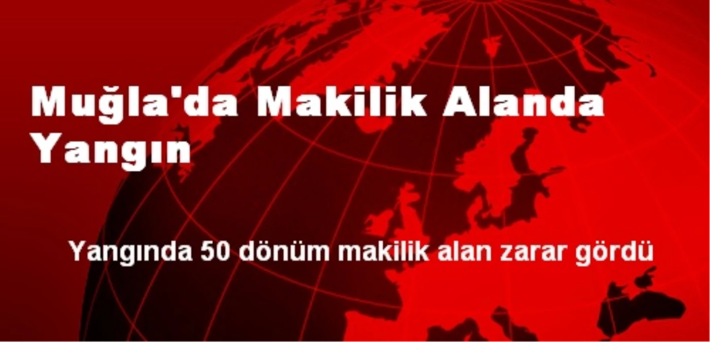 Muğla\'da Makilik Alanda Yangın