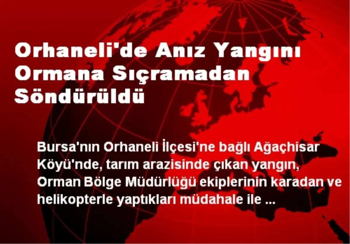 Orhaneli\'de Anız Yangını Ormana Sıçramadan Söndürüldü