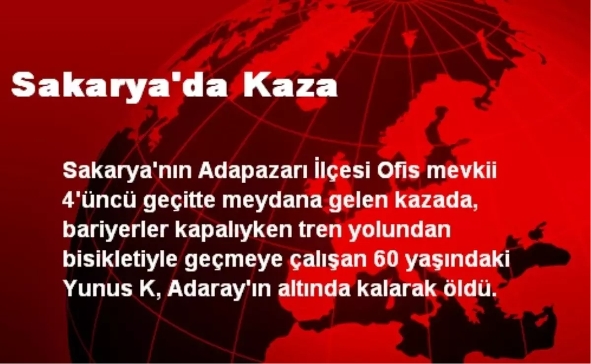 Sakarya\'da Kaza