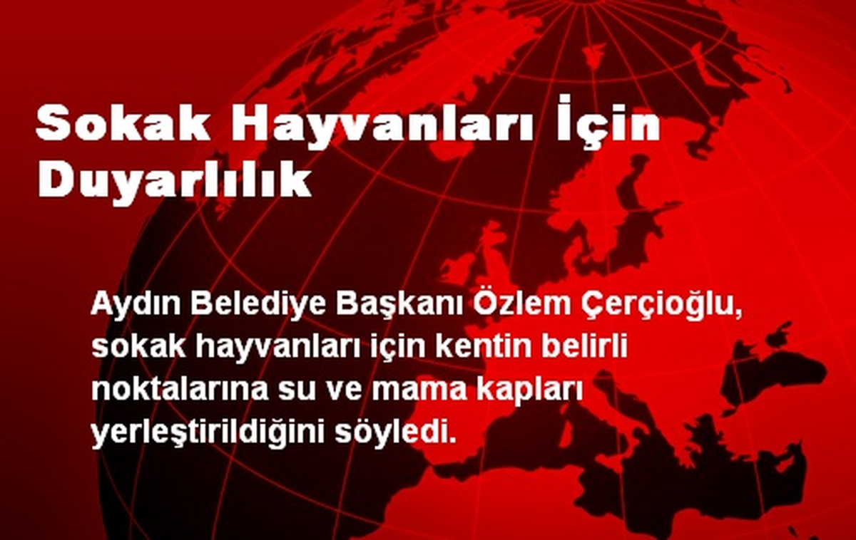 Sokak Hayvanları İçin Duyarlılık