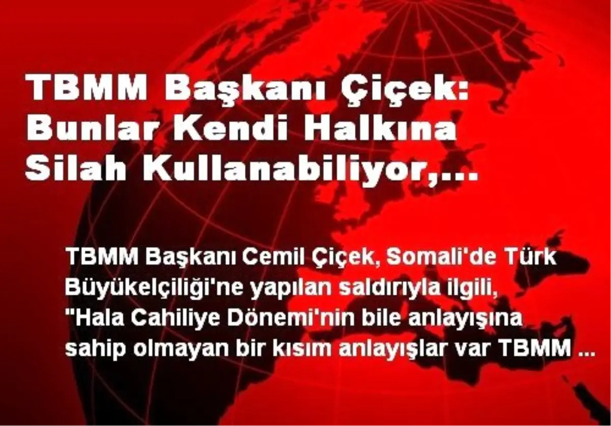 TBMM Başkanı Çiçek: Bunlar Kendi Halkına Silah Kullanabiliyor, Kendi İnsanını Katledebiliyor