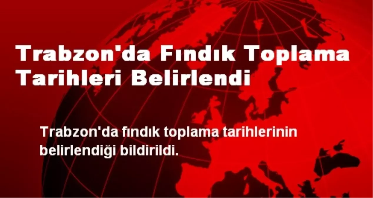 Trabzon\'da Fındık Toplama Tarihleri Belirlendi