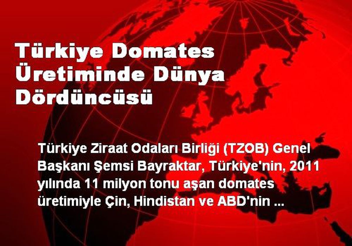 Türkiye Domates Üretiminde Dünya Dördüncüsü