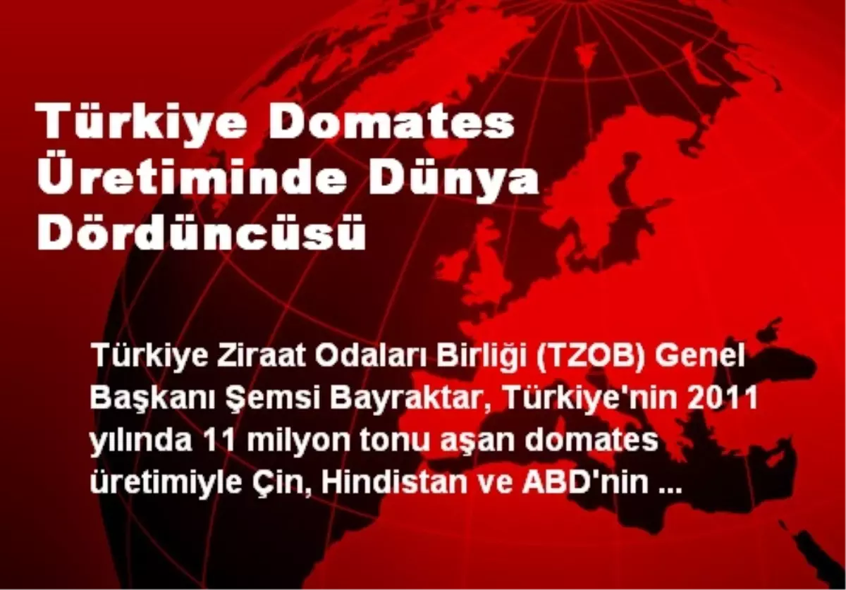 Türkiye Domates Üretiminde Dünya Dördüncüsü