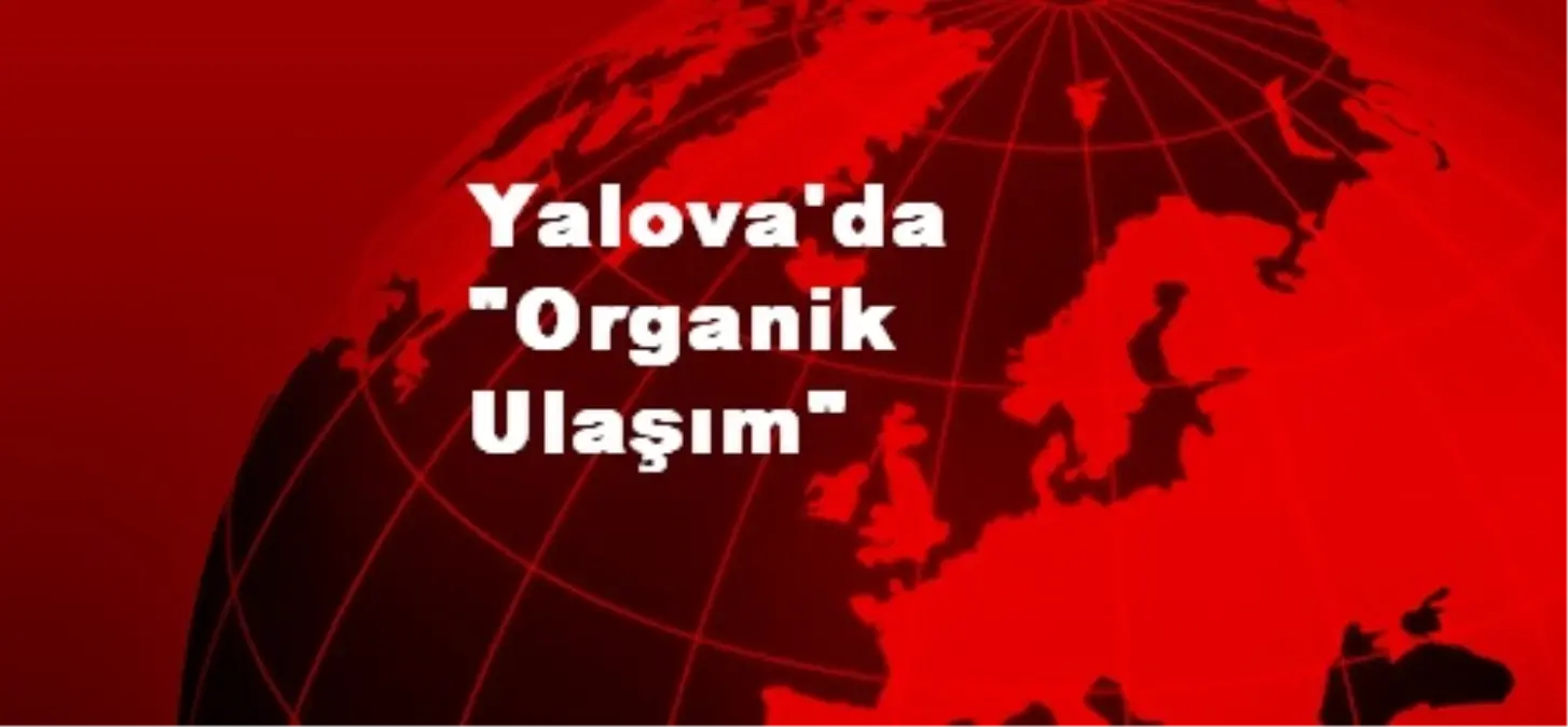 Yalova\'da "Organik Ulaşım"