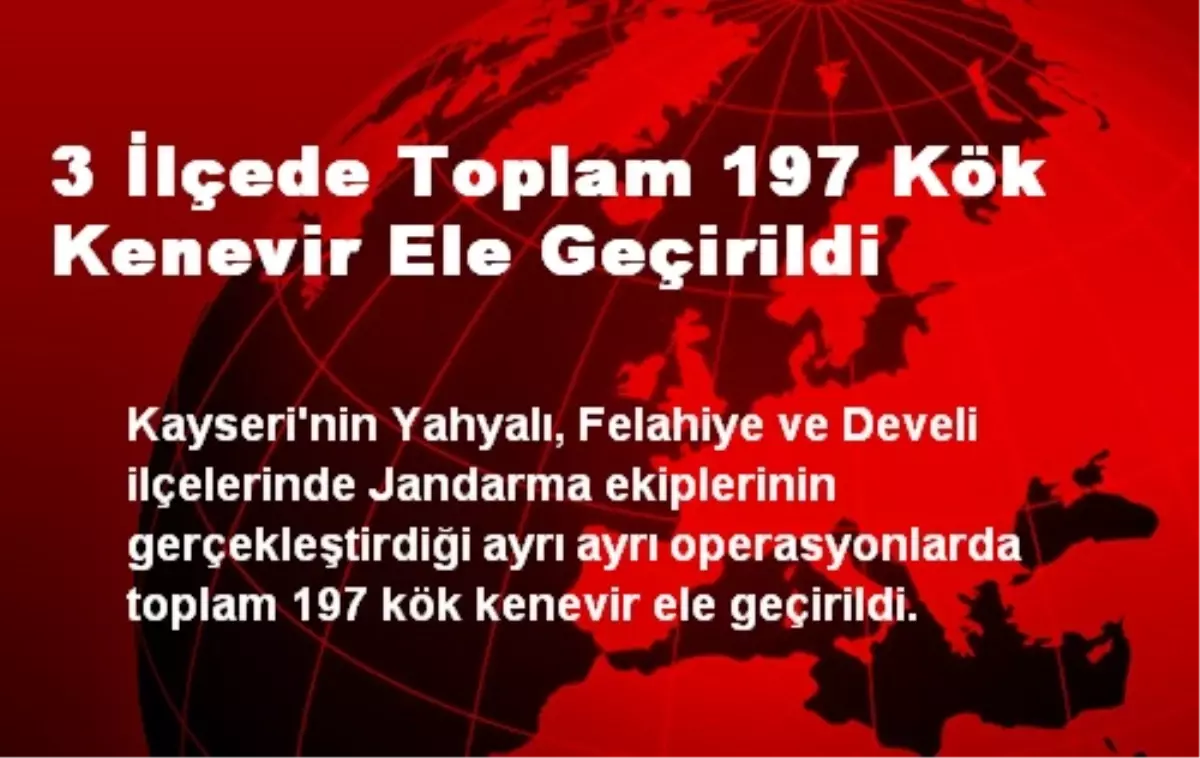 3 İlçede Toplam 197 Kök Kenevir Ele Geçirildi