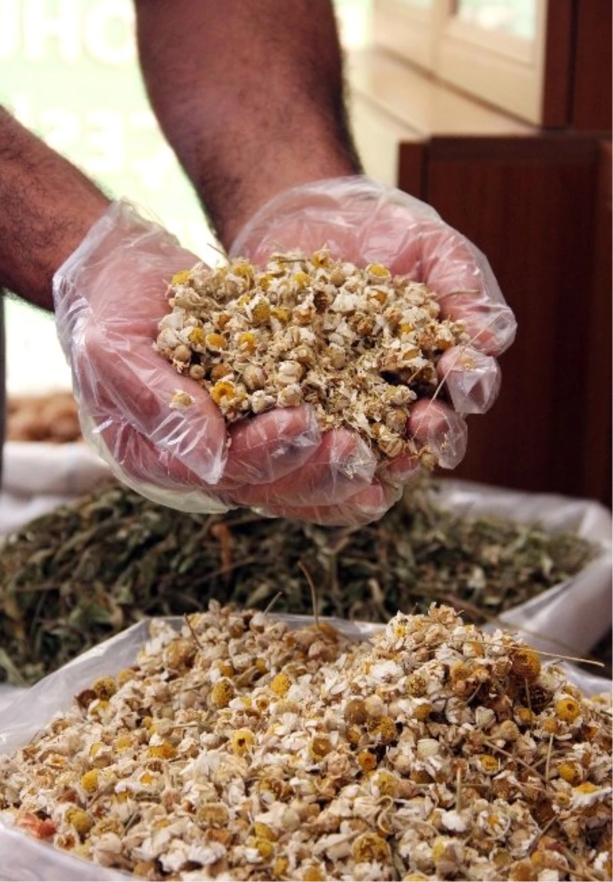 Ahlat\'ta En Çok "Papatya Çayı" Rağbet Görüyor