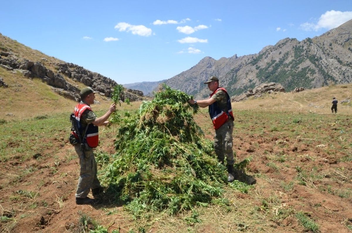 Batman'da Uyuşturucu Operasyonu
