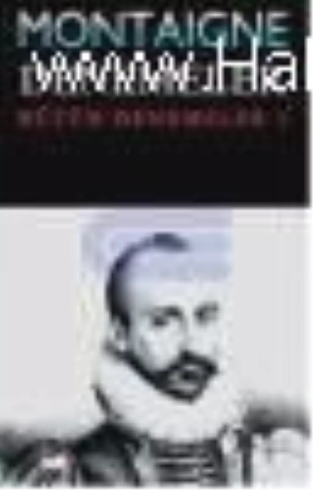 Denemeler 1. Cilt Kitabı