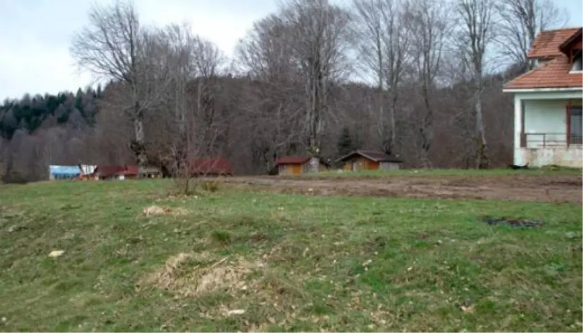 Devlet Ormanları İçindeki Bazı Alanlar Yayla İlan Edildi