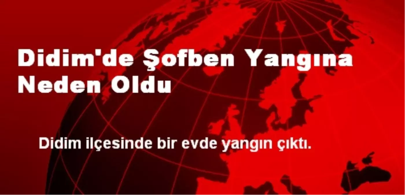 Didim\'de Şofben Yangına Neden Oldu