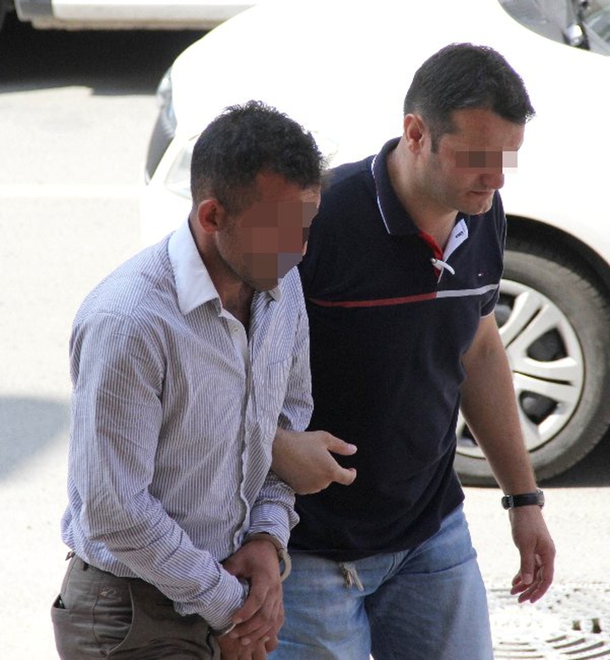 Domates Serasında Dişi Hint Keneviri Yetiştirdi