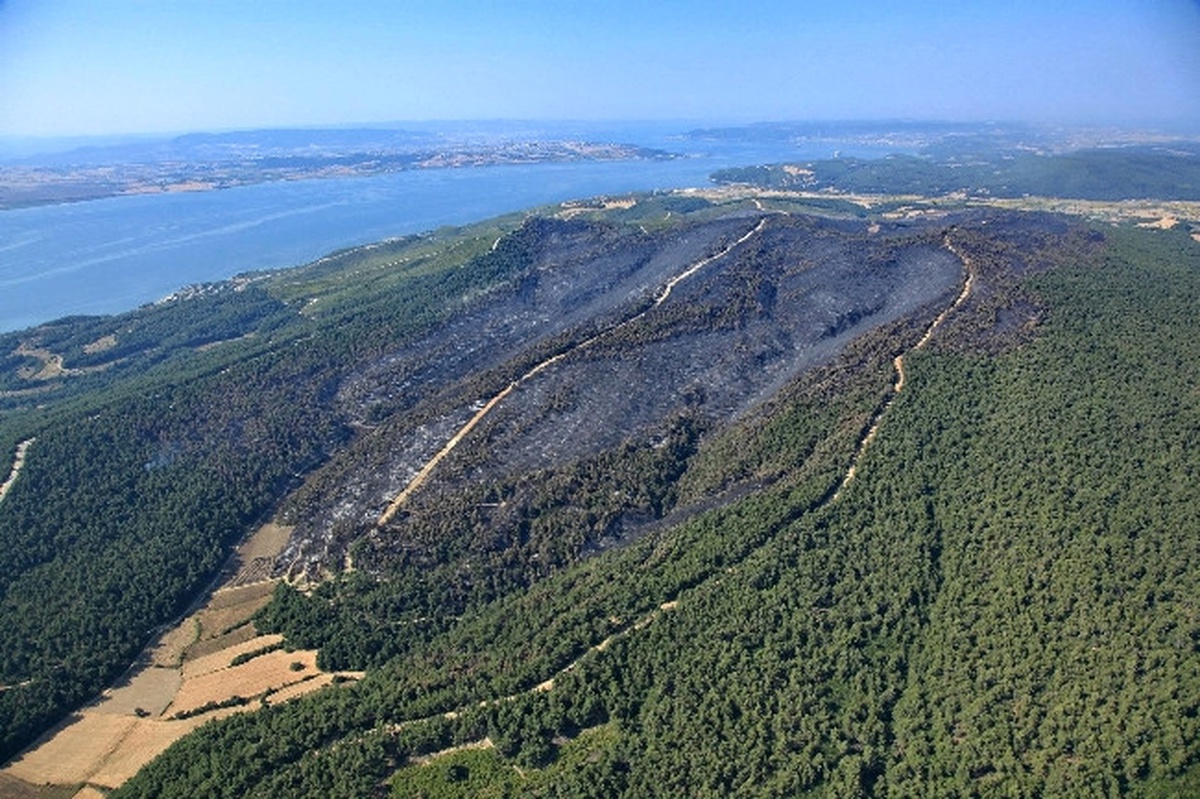 Çanakkale Gelibolu\'nun Ciğerleri Karardı