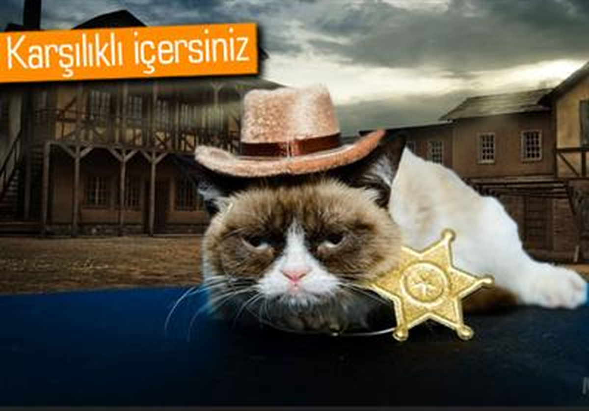 İnternet Fenomeni Grumpy Cat, Şimdi de Kapuçino İşine Giriyor