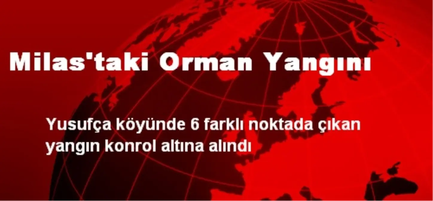 Milas'taki Orman Yangını