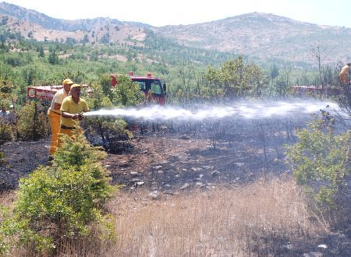 Ortaca\'da Yerleşim Birimi Yakınında Orman Yangını (1)