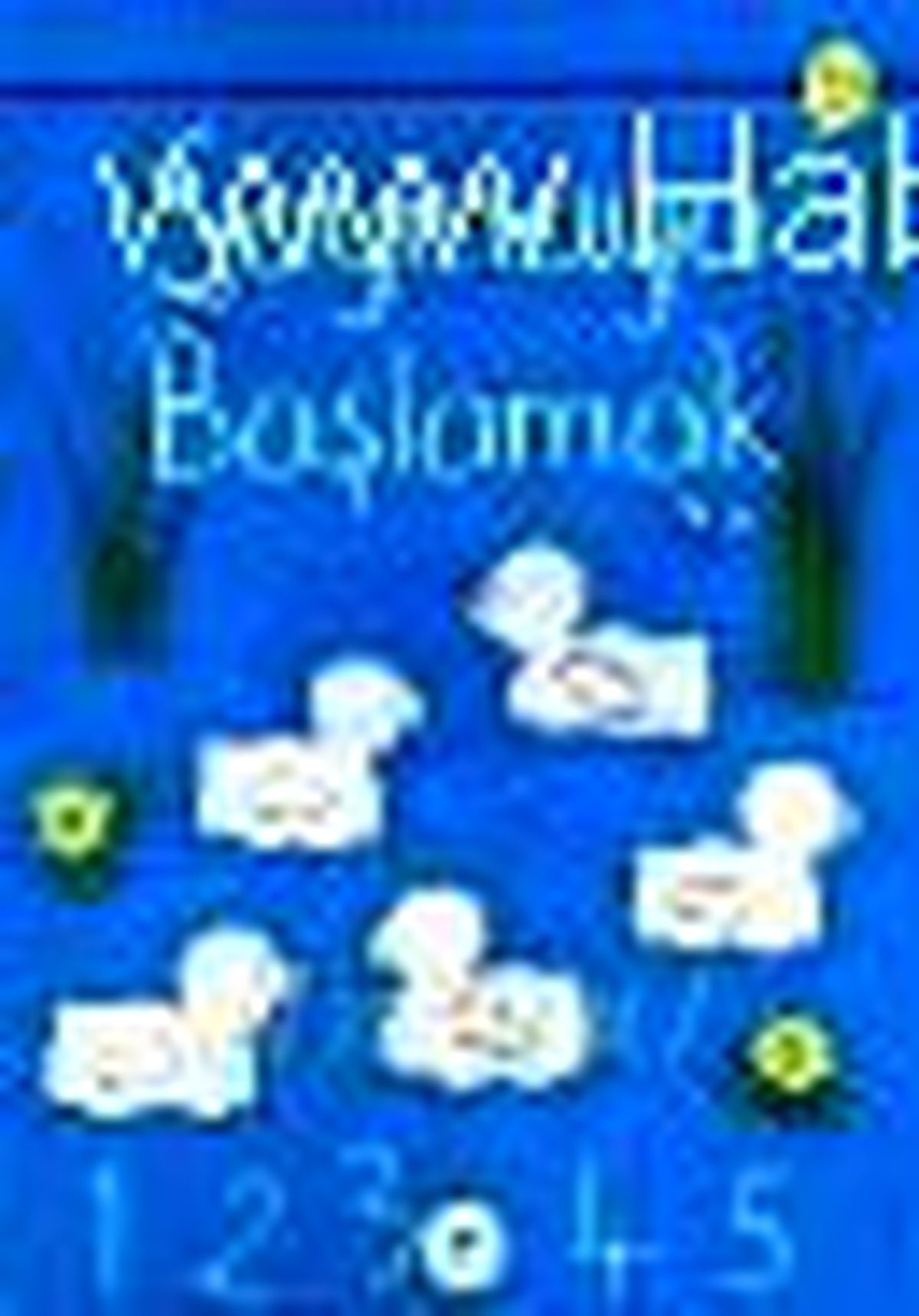 Saymaya Başlamak 3-6 Yaş Kitabı