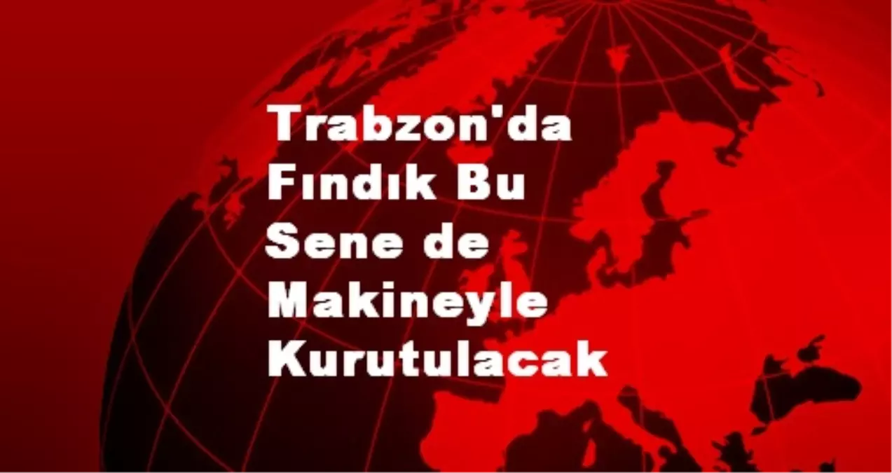 Trabzon\'da Fındık Bu Sene de Makineyle Kurutulacak