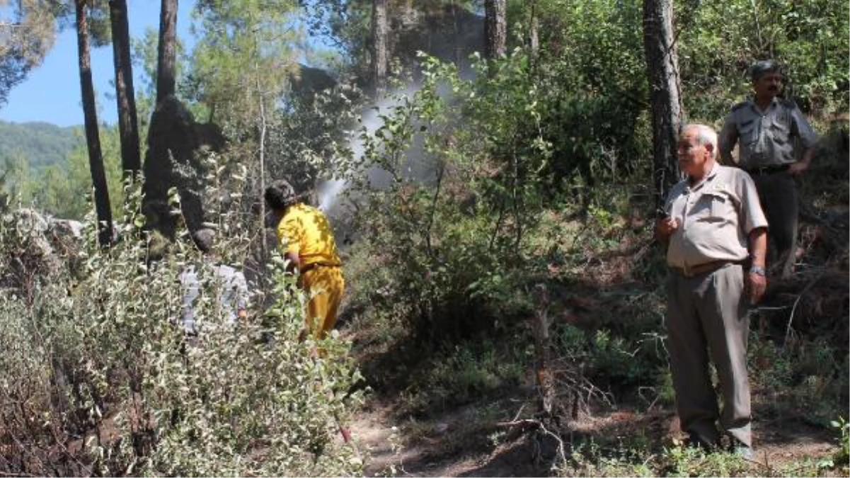 Osmaniye\'de 20 Hektar Orman Yandı