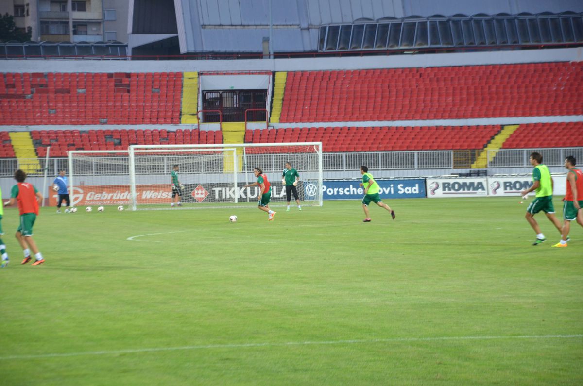UEFA Avrupa Ligi 3. Ön Eleme Turu