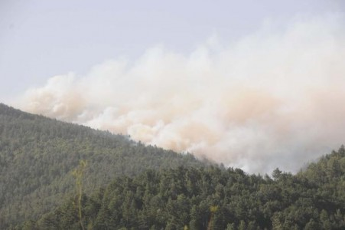 Balıkesir\'de Yangın Bitti, Yaralar Sarılacak