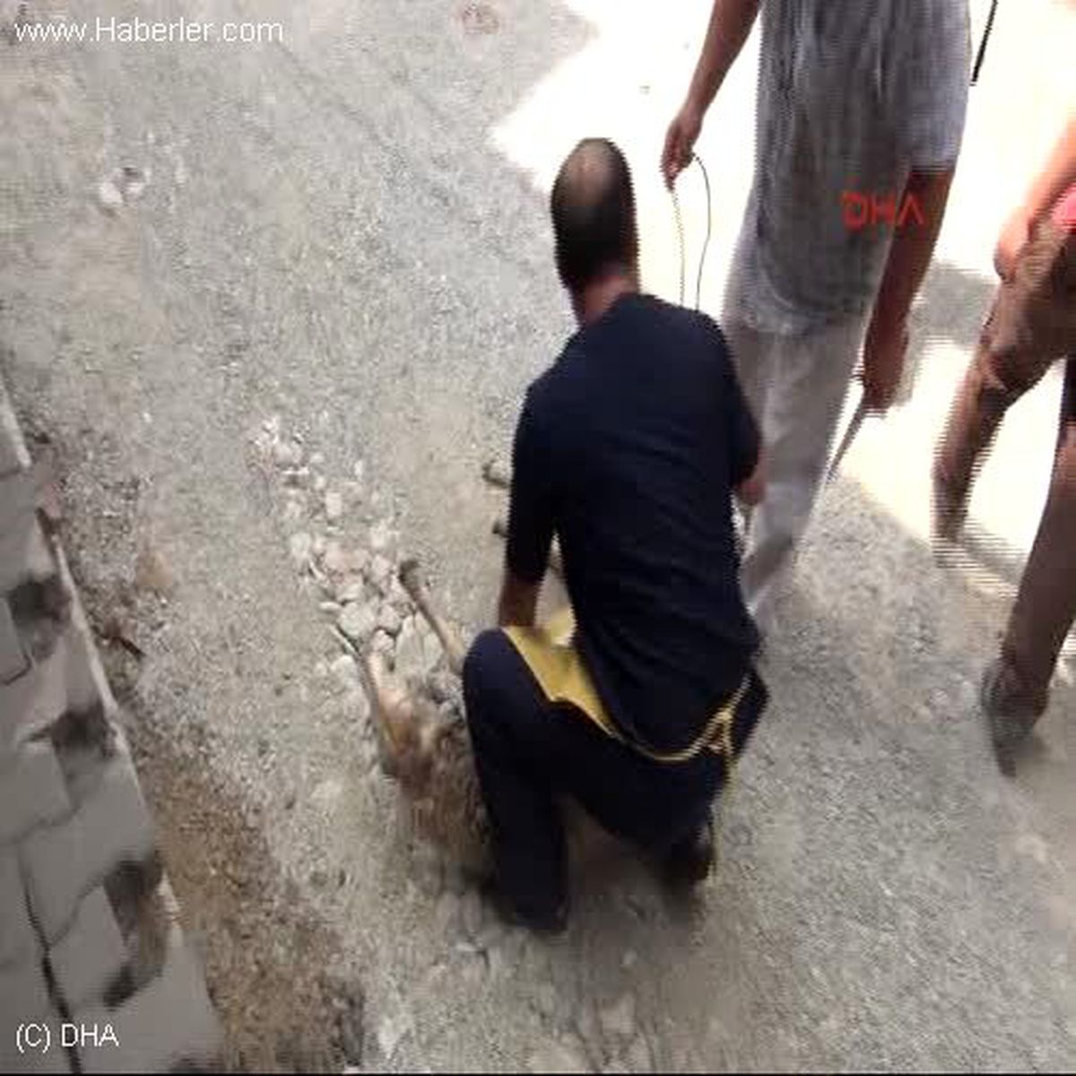 Bartın Cadde Düzenlemesi İçin Kurban Kesildi