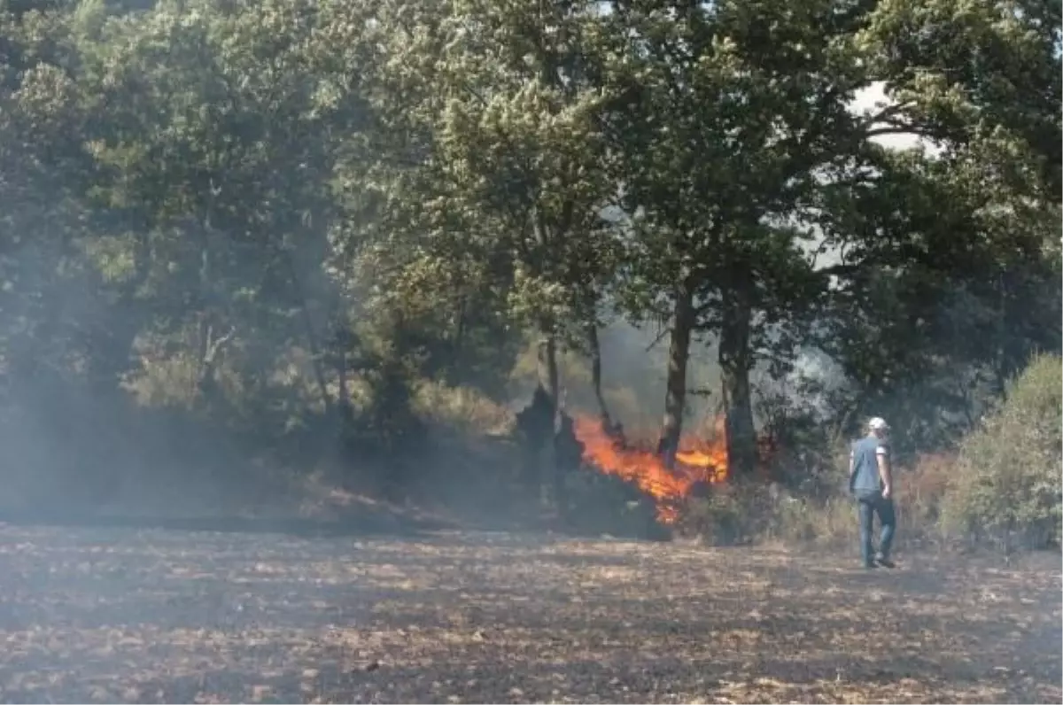 Çanakkale Ormanı Yanmaktan Emekli İtfaiyeciler Kurtardı