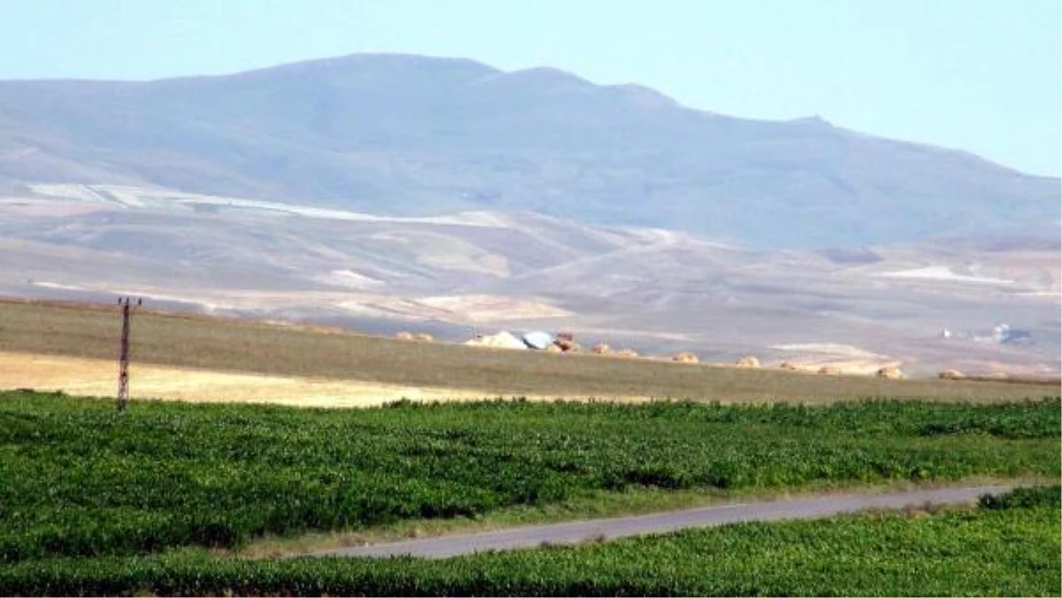 Ermenistan Askerleri Sınırı Geçen Çobanı Öldürdü