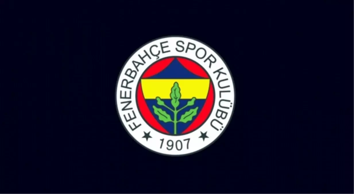 Fenerbahçe, Cardozo ve Emenike\'yi Bildirdi