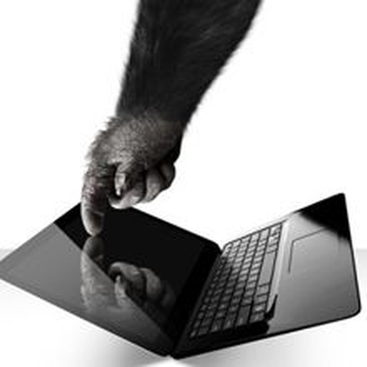 Gorilla Glass her yerde!