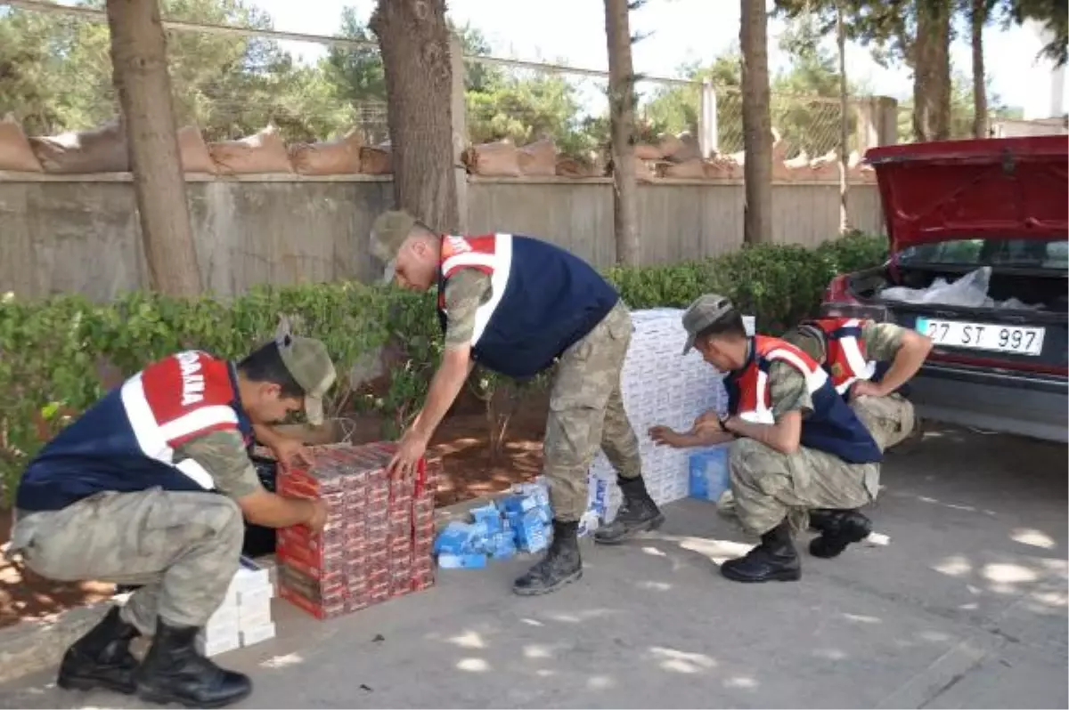 İslahiye\'de Kaçak Sigara Operasyonu