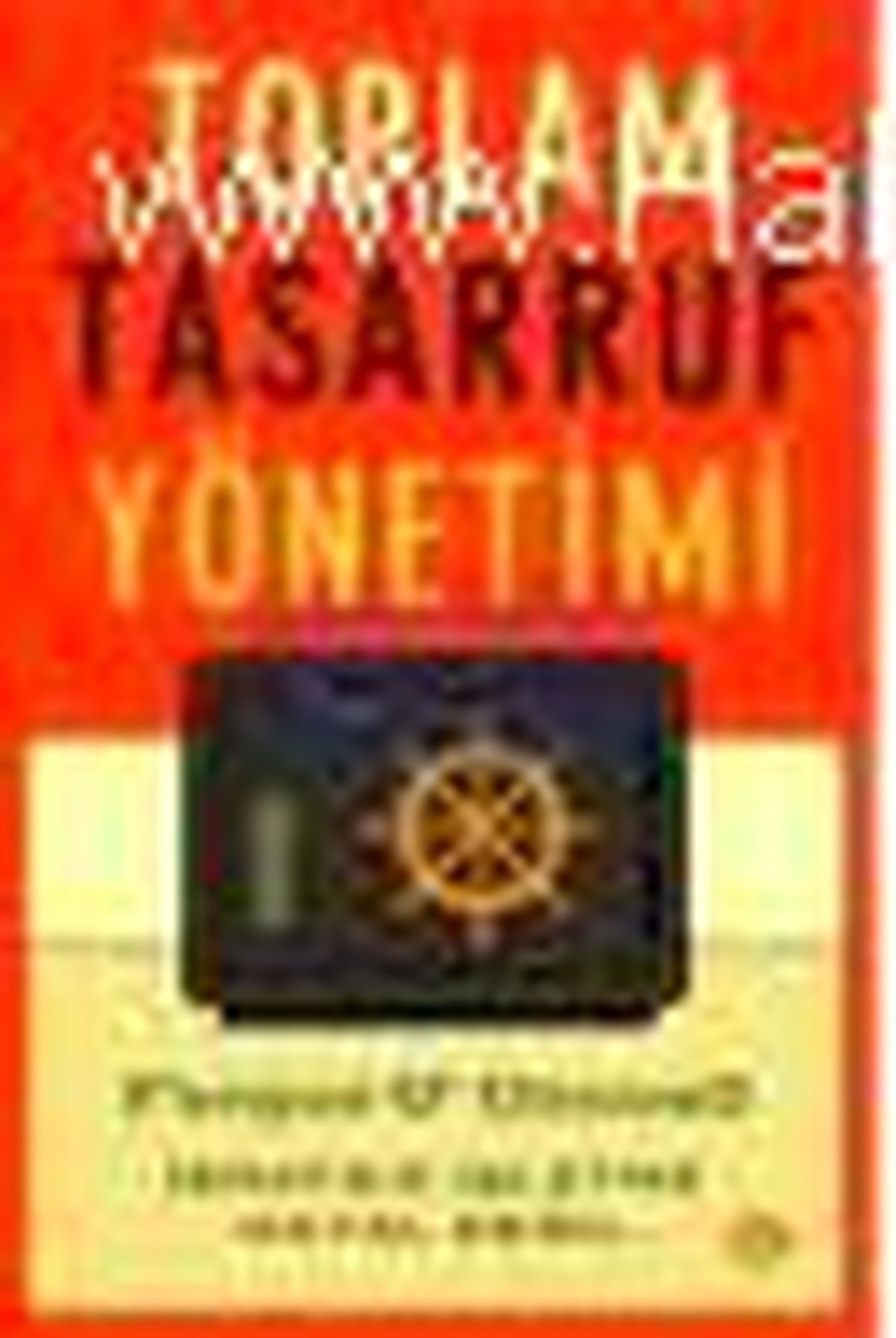 Toplam Tasarruf Yönetimi Kitabı