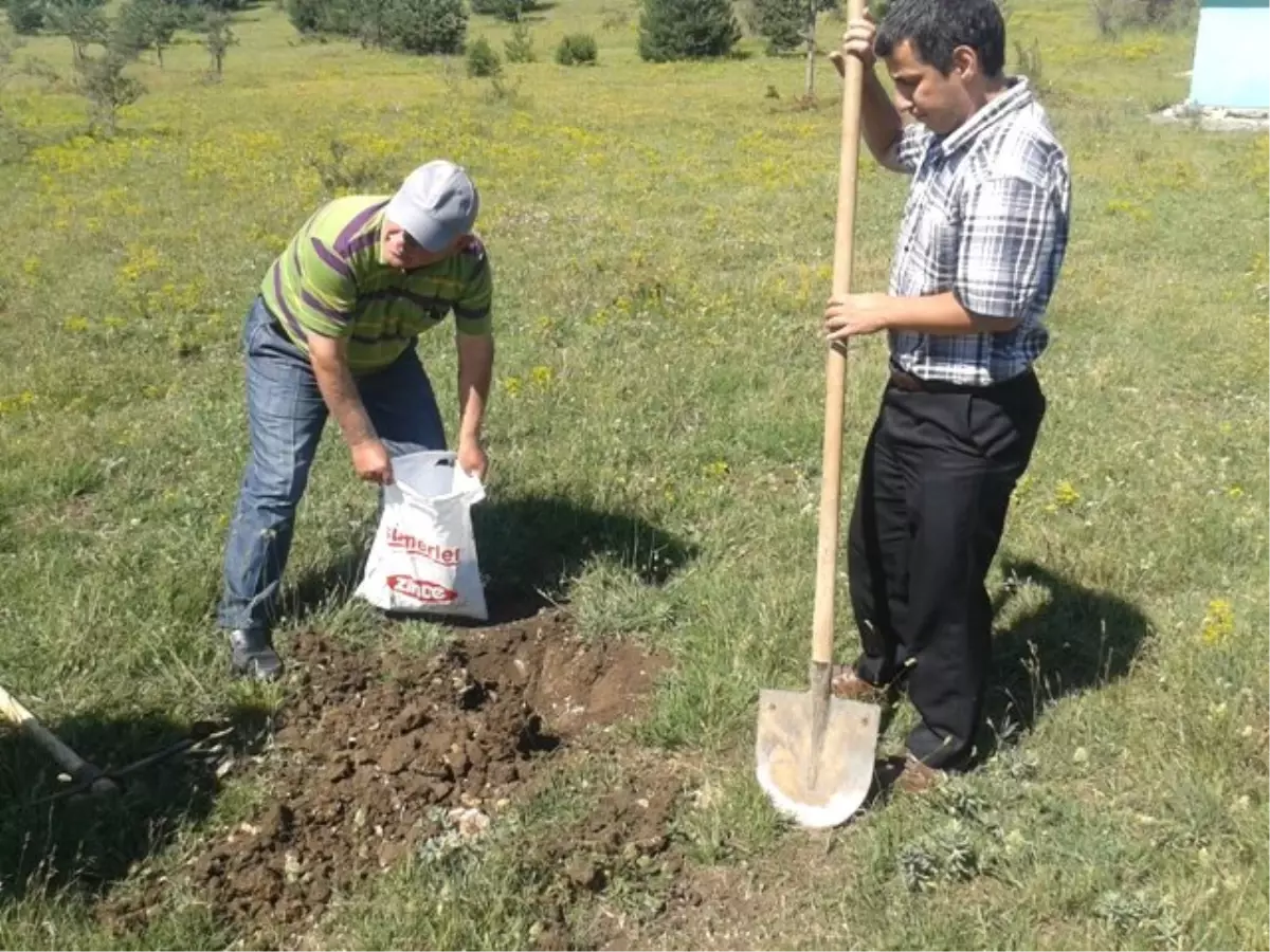 Islah Projesi Çalışmalarına Devam Ediliyor