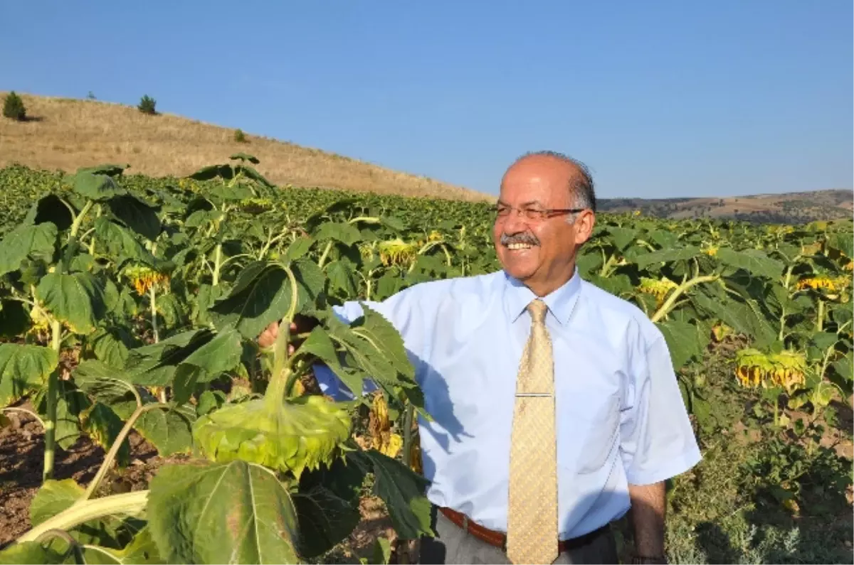 Kırıkkale Valisi Ali Kolat,