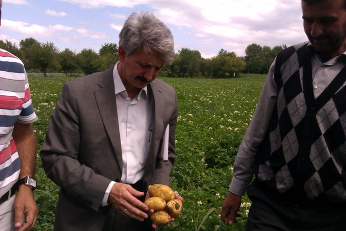 Patates Tarla Okulu Çiftçi Eğitim Çalışması Yapıldı