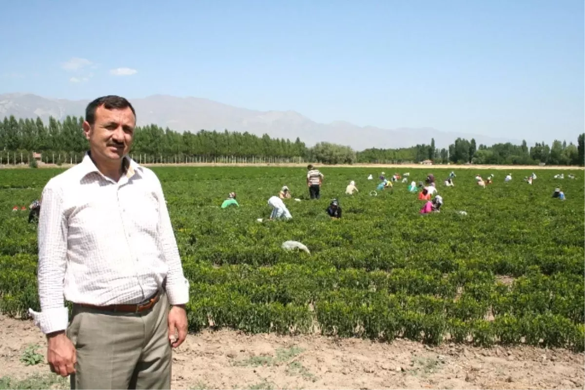 Poli Şirketler Gurubu\'ndan Erzincan Ekonomisine Büyük Destek