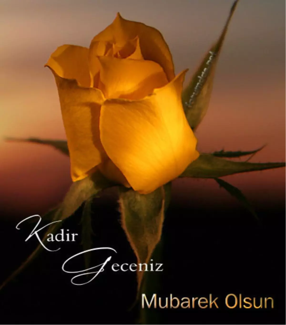 2013 en güzel kandil mesajları- Kadir gecesi 4 Ağustos gecesi en güzel Kandil mesajları