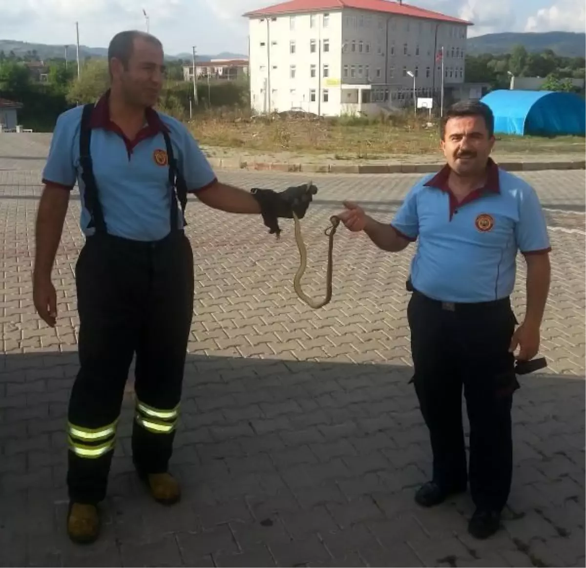 Yakaladıkları Yılanı Doğaya Bıraktılar