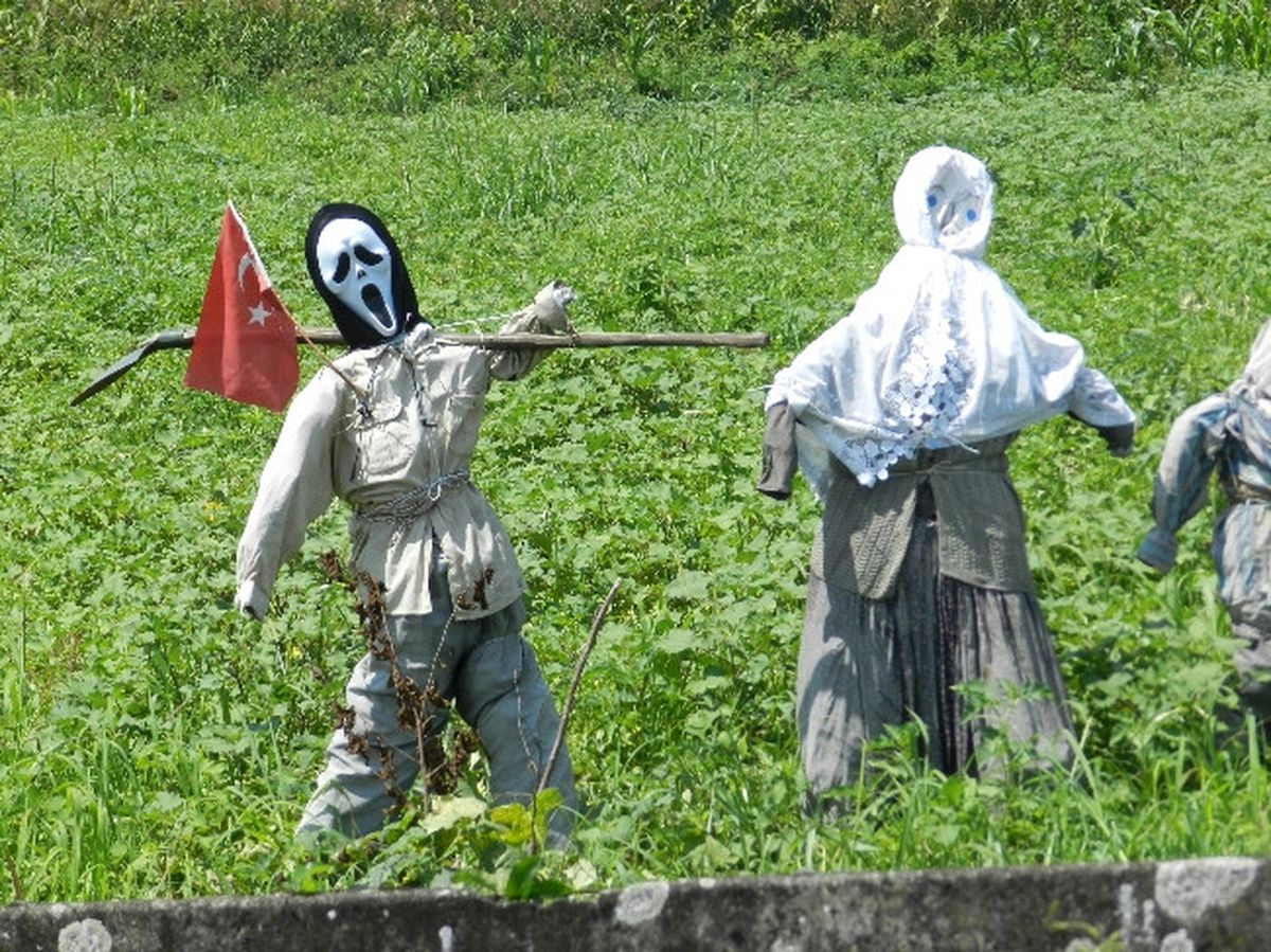 İlginç Koruma