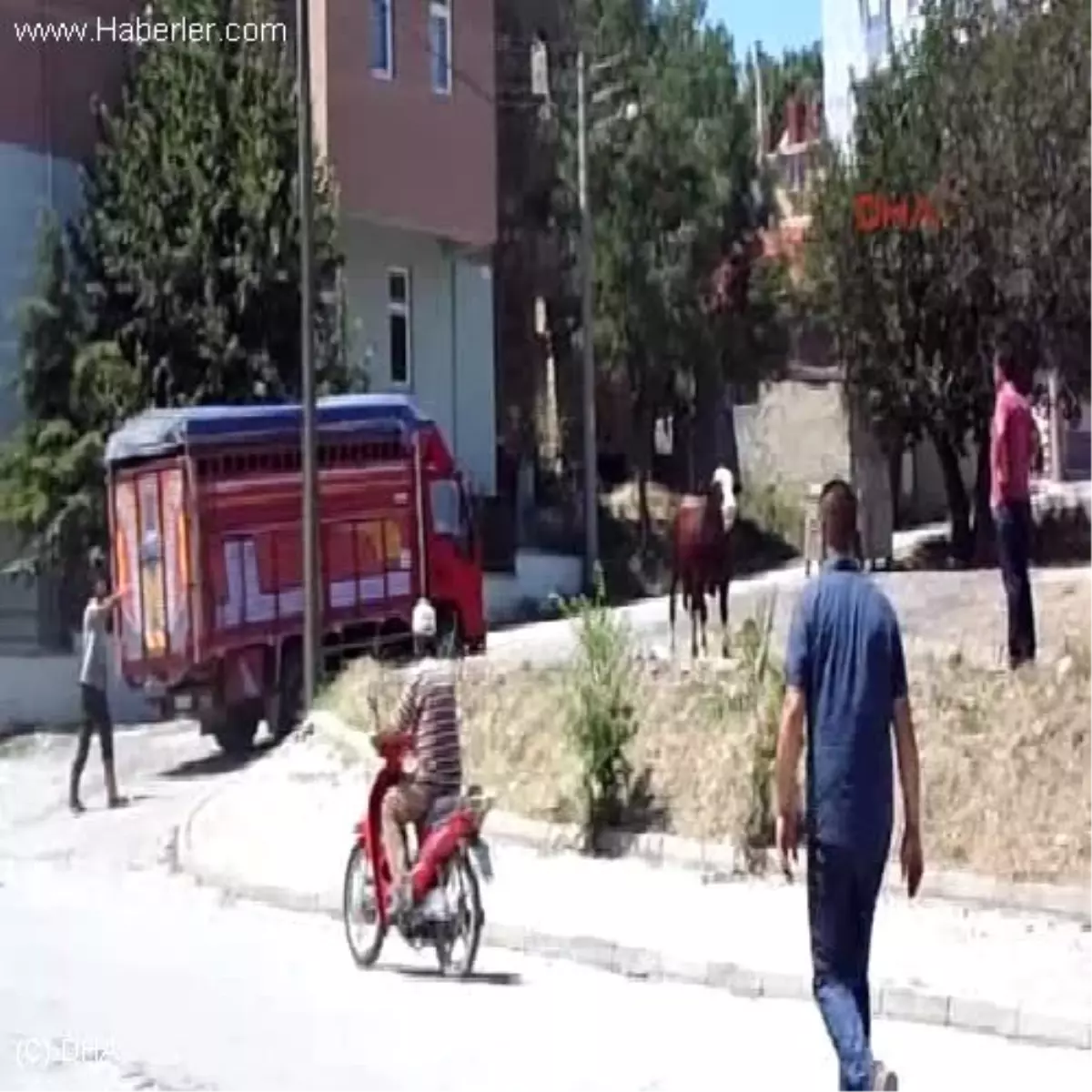 Tekirdağ Kaçan Boğa Tüfekle Vuruldu