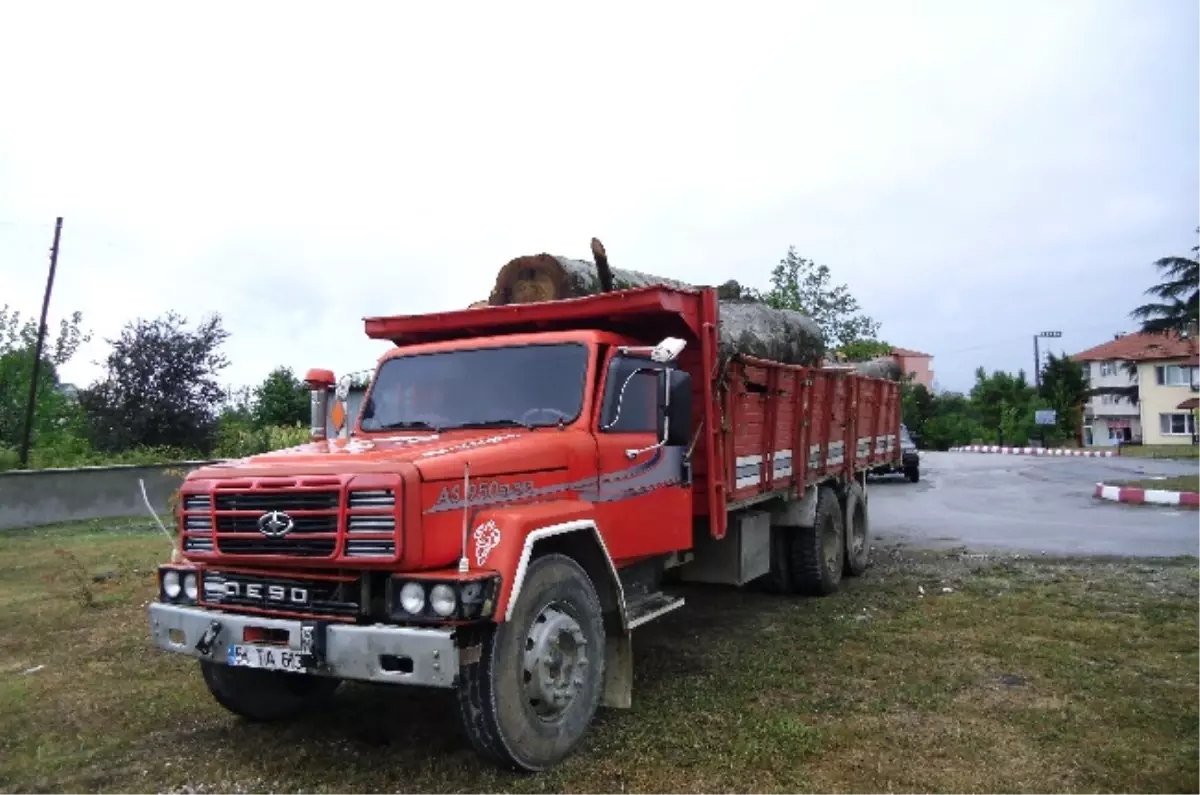 10 Ton Kaçak Odun Yüklü Kamyonu Bırakıp Kaçtı