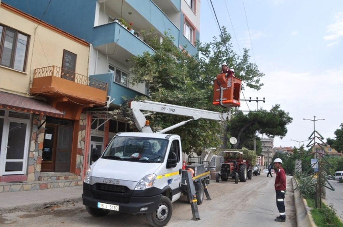 Ayvacık\'ta Tedaş\'tan Ağaç Budama Çalışması