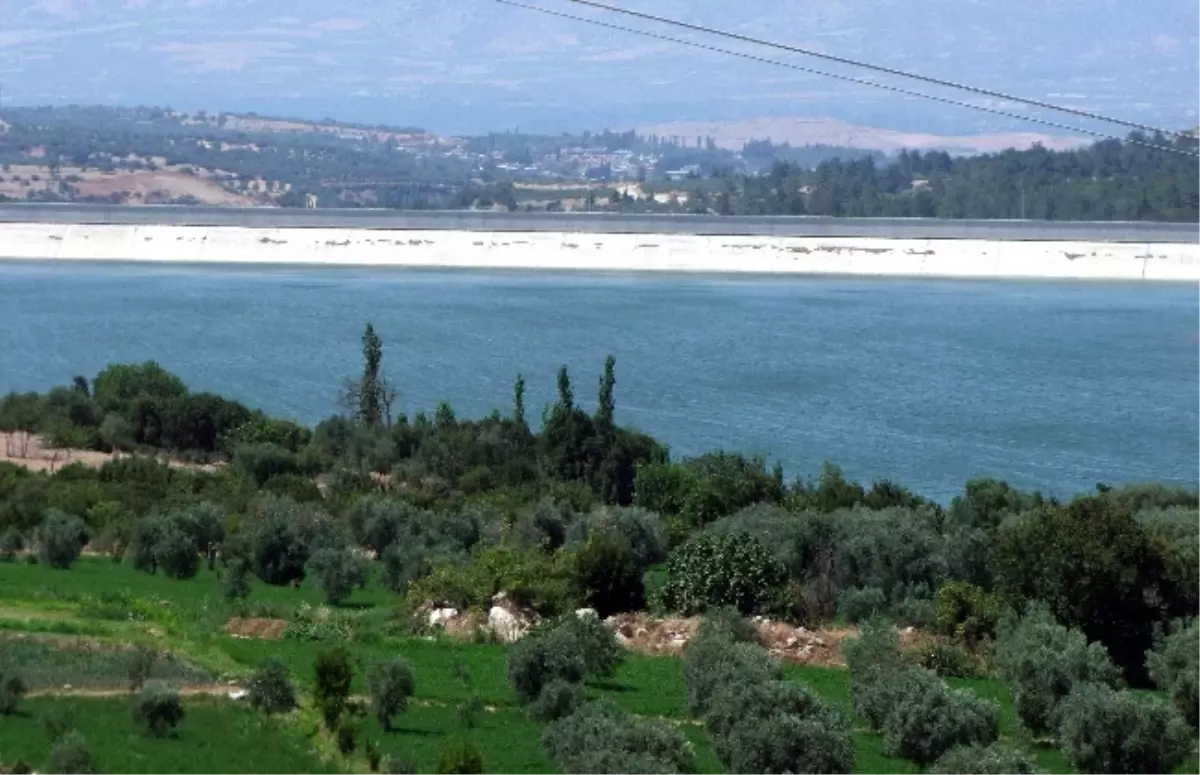 Dandalaz Barajı Üreticinin Yüzünü Güldürdü
