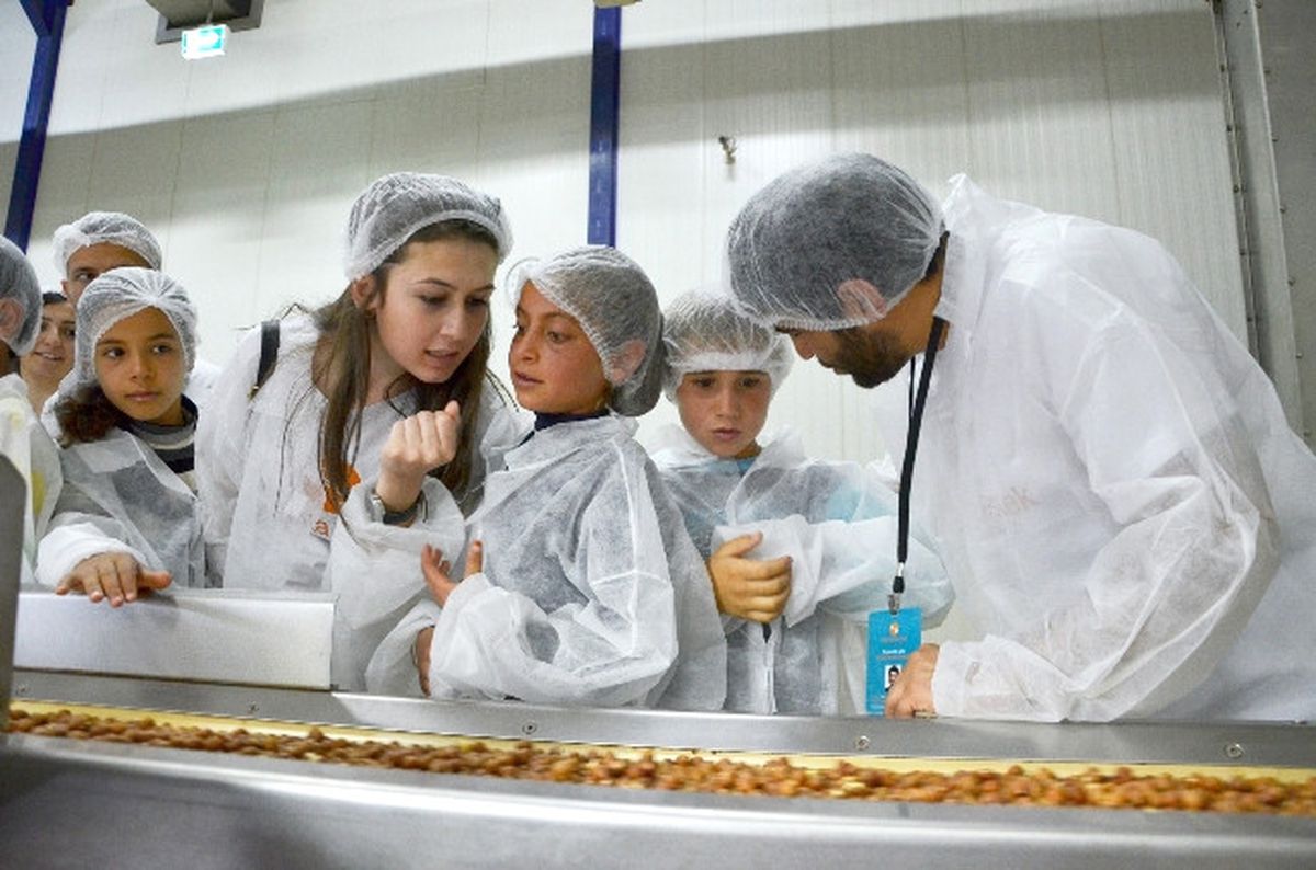 Fındık Bahçesine Değil, Fabrikasına Gittiler