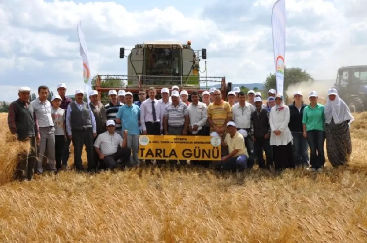 Kütahya\'da Tarla Günü Etkinliği Düzenlendi