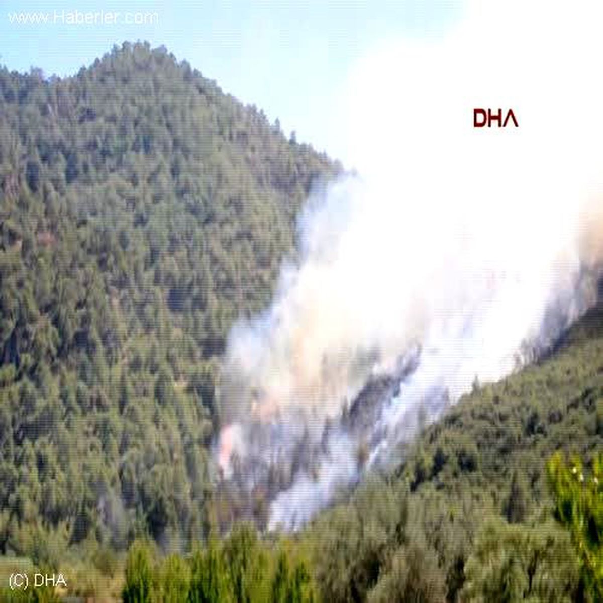 Manisa Turgutlu\' da Orman Yangını