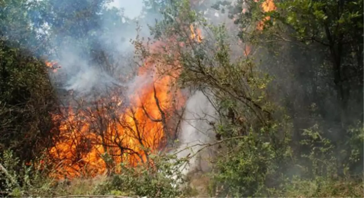 Şemdinli\'de Orman Yangını